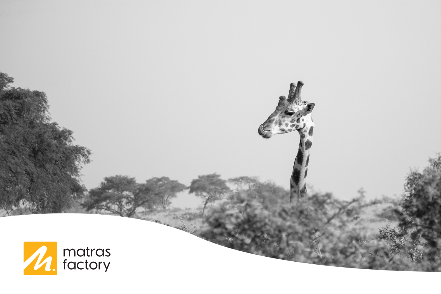 Wat is een geschikt matras voor lange mensen?