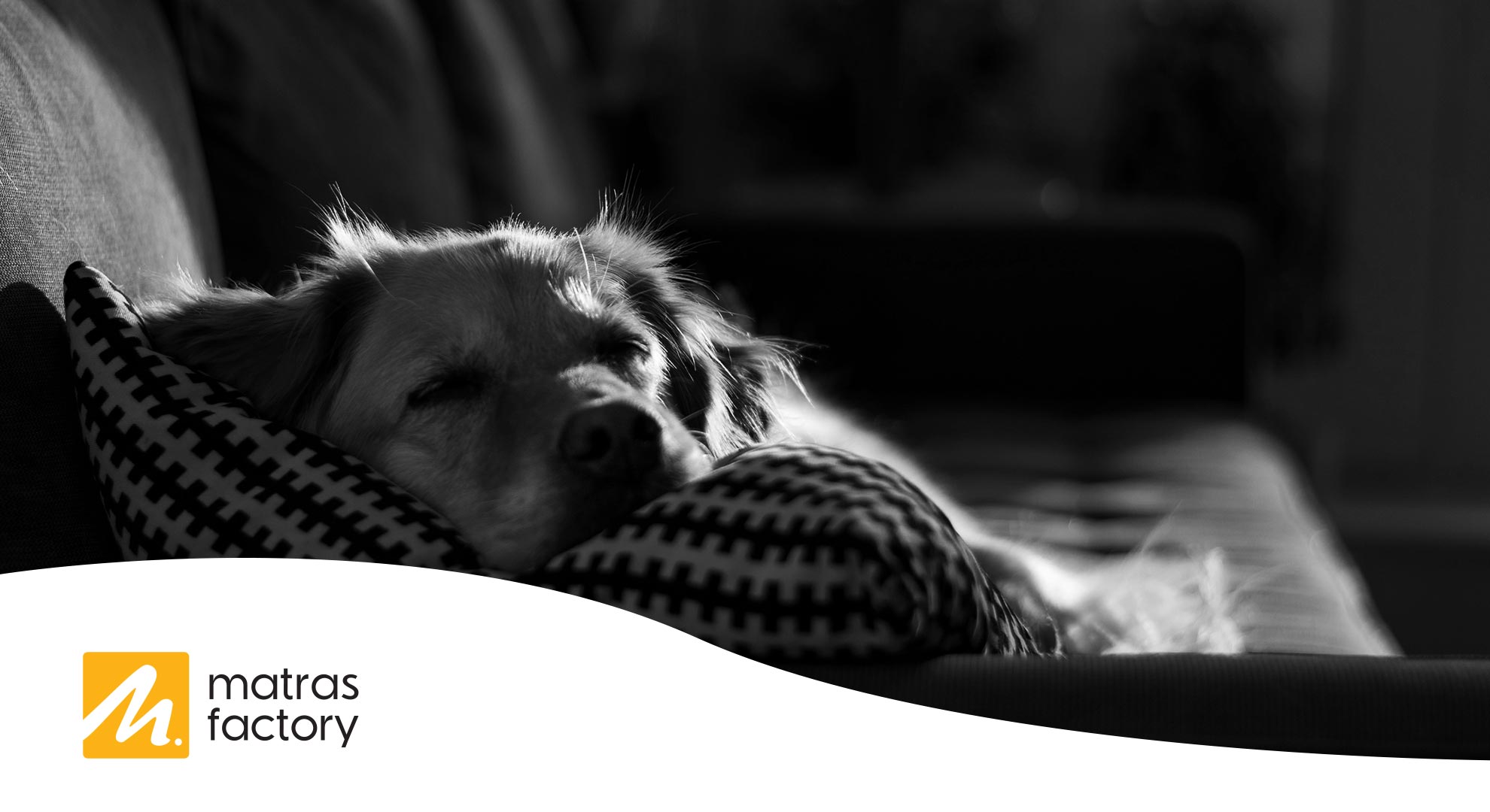 Dit is alles wat je moet weten over Powernaps