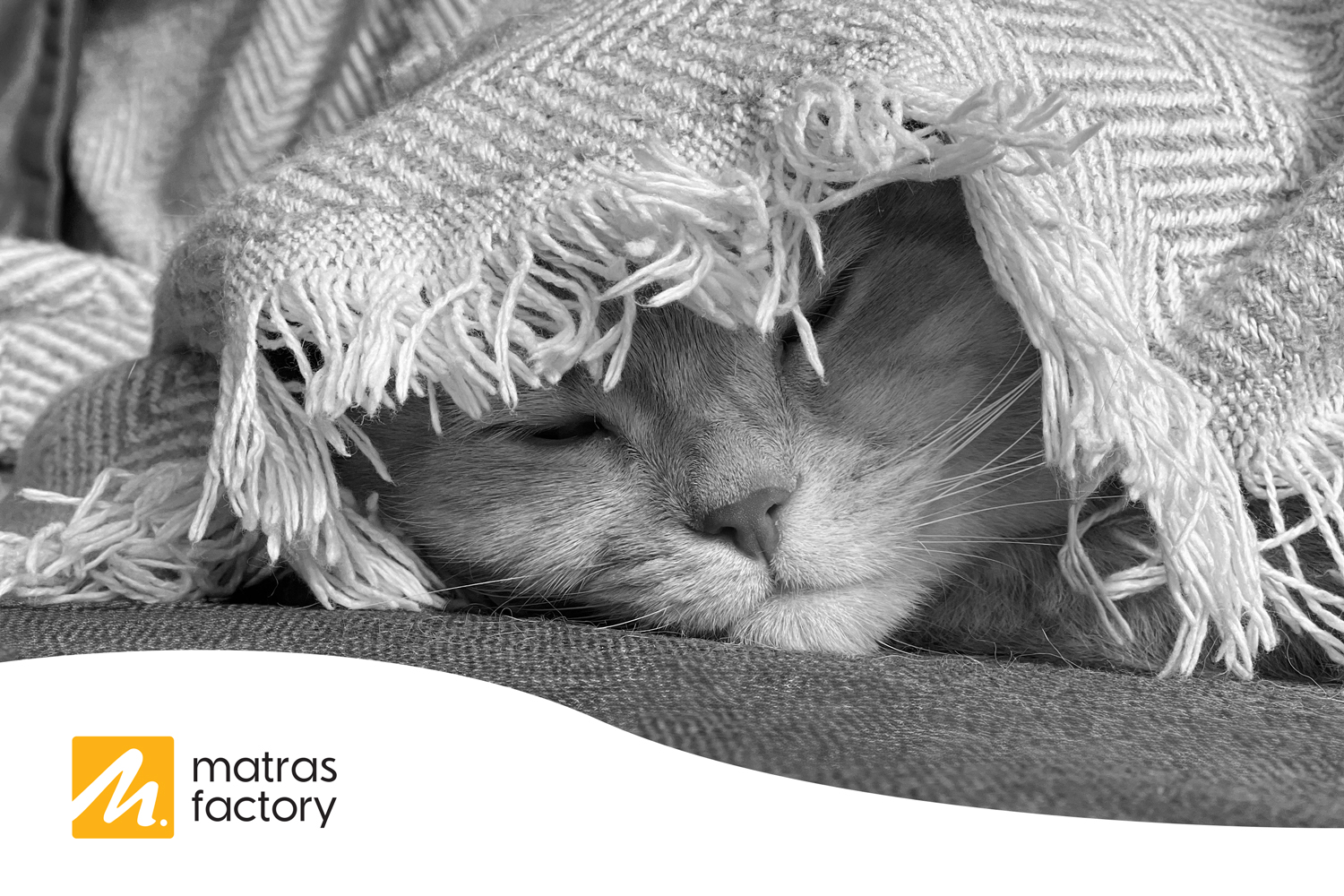 De Winter-Winterslaap: Waarom we in februari 20% méér slapen