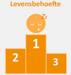 Slaap eerste levensbehoefte