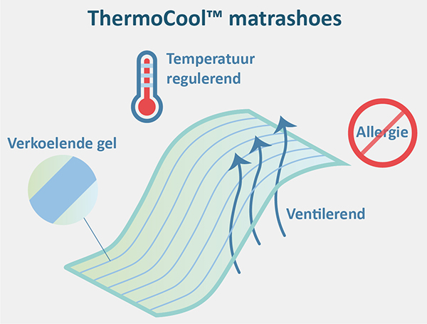 Thermocool matrashoes